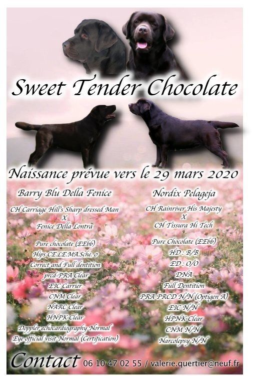 Sweet Tender Chocolate - 2 ème mariage