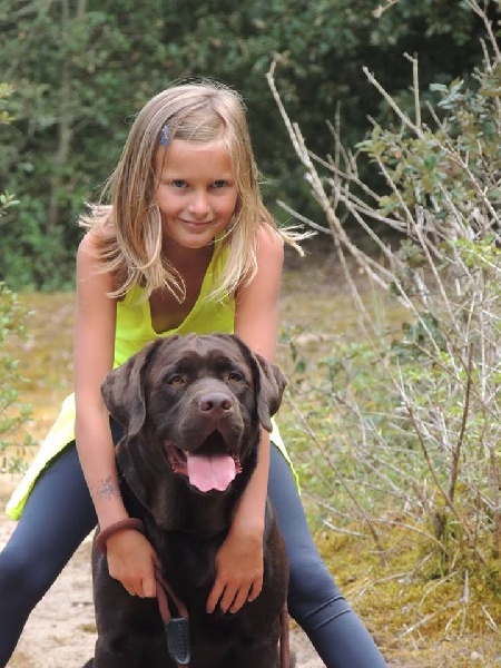 Les chiots dans leurs familles